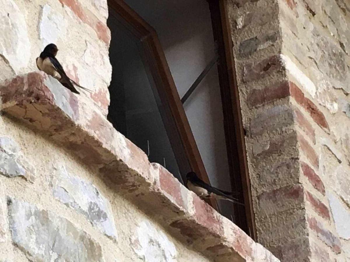 Willa San Venanzo - Casale De Conti Zewnętrze zdjęcie